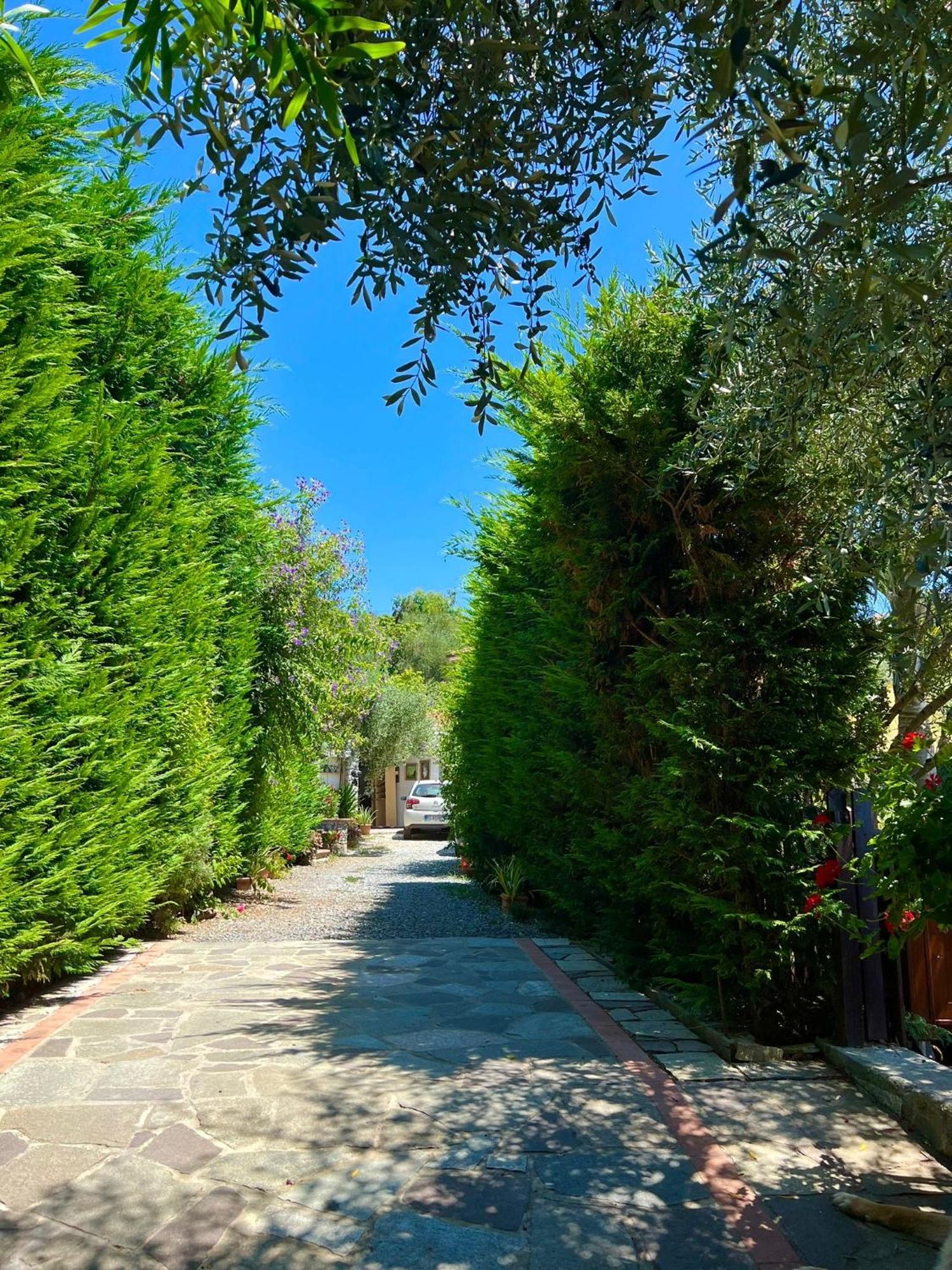 Le Jardin Sur Mer Avec Bike Et Mtb Tour Hotel Imperia Eksteriør billede