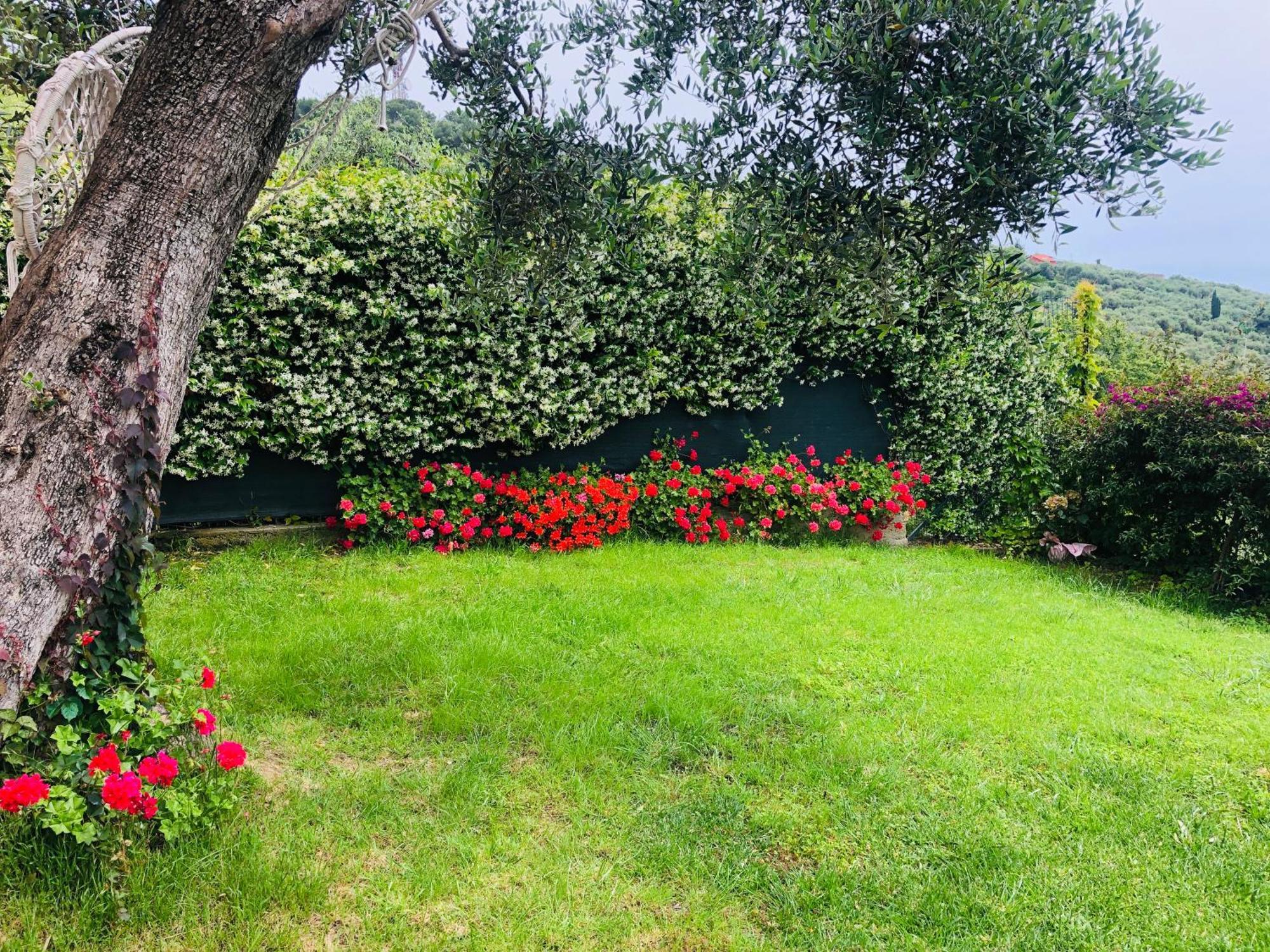 Le Jardin Sur Mer Avec Bike Et Mtb Tour Hotel Imperia Eksteriør billede